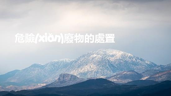 危險(xiǎn)廢物的處置方式有幾種未來(lái)能源：革命性技術(shù)的崛起？